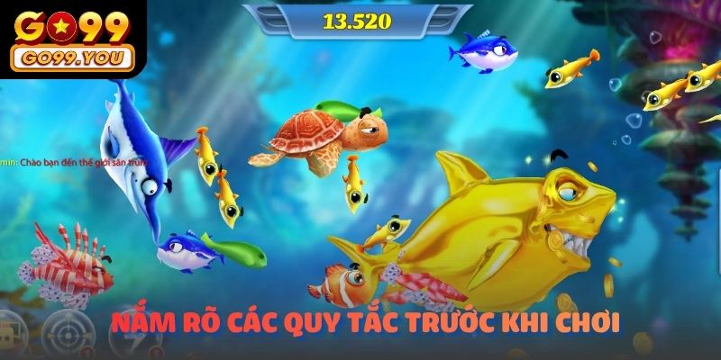 Người chơi cần phải nắm rõ các quy tắc trước khi tham gia chuyến hành trình săn cá