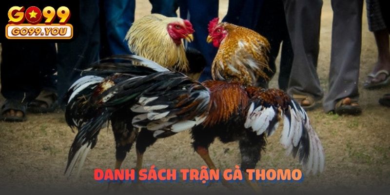 Danh sách trận Thomo hiển thị tập trung, dễ theo dõi từng khung giờ