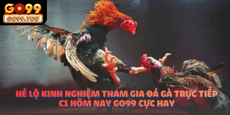 Hé lộ kinh nghiệm tham gia Đá gà trực tiếp C1 hôm nay go99 cực hay
