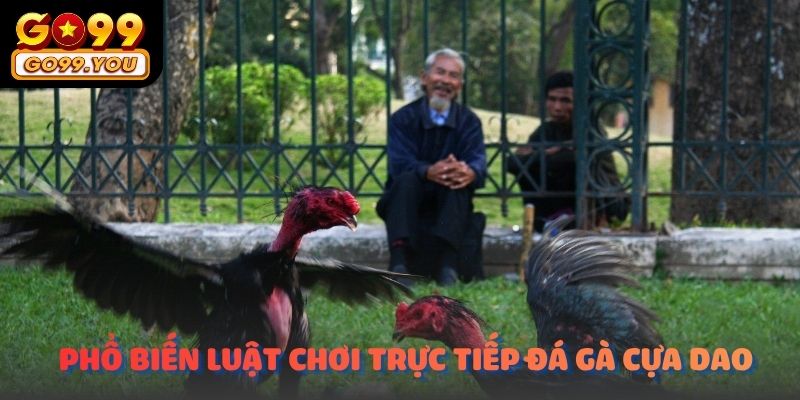 Phổ biến luật chơi Trực tiếp đá gà cựa dao hôm nay go99 cho các hội viên mới tham gia